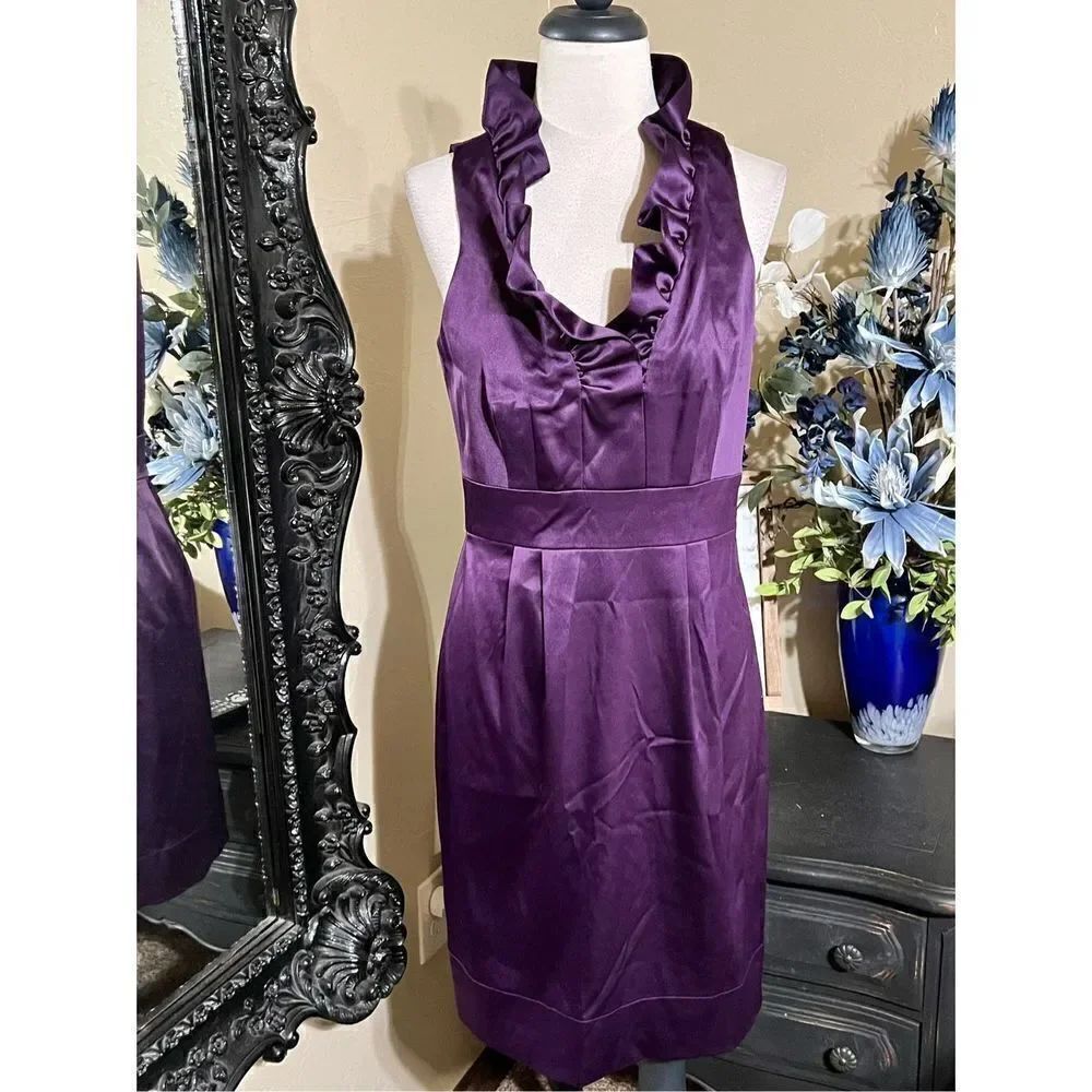 Taylor Purple  Sleeveless Ruffled Silky Dress Size 6